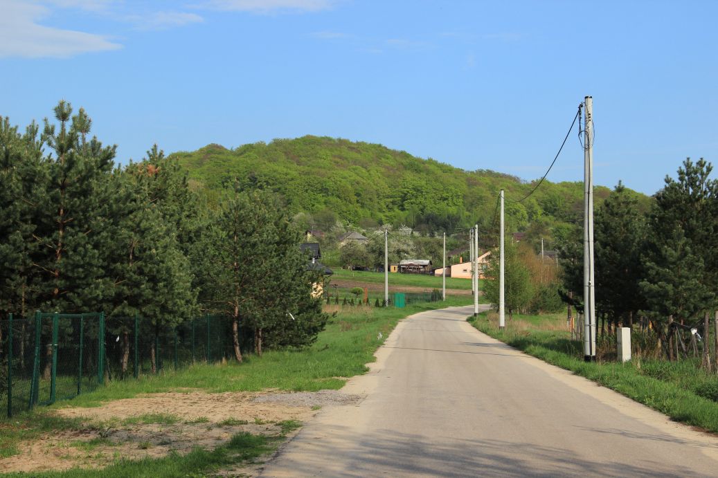 fot.R.Rębisz